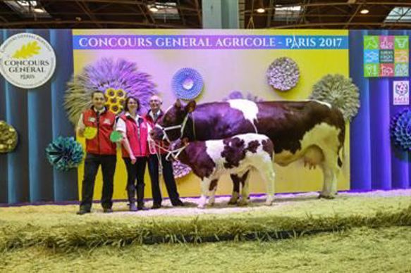 Epatente la championne femelle Rouge des prés.
