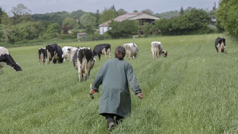 Dans sa tribune publiée ici, Isabelle Clément exprime son désarroi face au nombre de suicides d'agriculteurs et à la situation agricole. (Image d'illustration) (©Watier visuels) Dans sa tribune publiée ici, Isabelle Clément exprime son désarroi face au nombre de suicides d'agriculteurs et à la situation agricole. (Image d'illustration) (©Watier visuels)