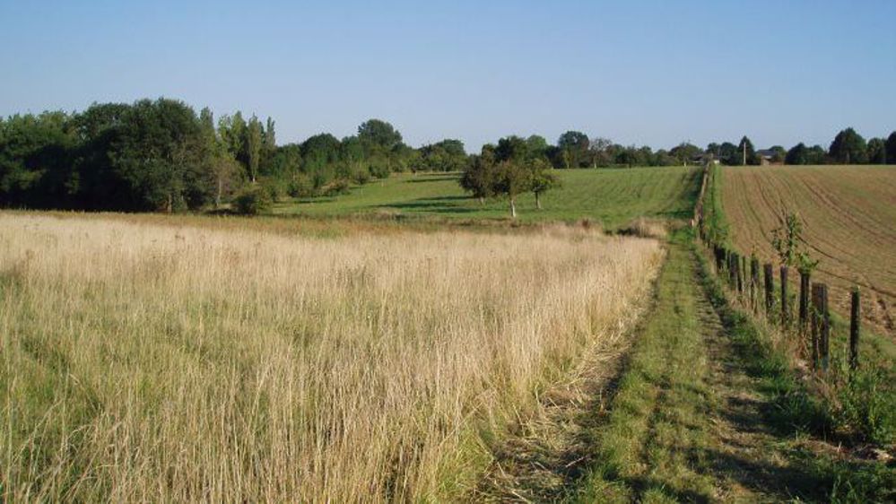 85 % des communes actuellement classées figurent dans ce projet de nouveau zonage. (©Terre-net Média)