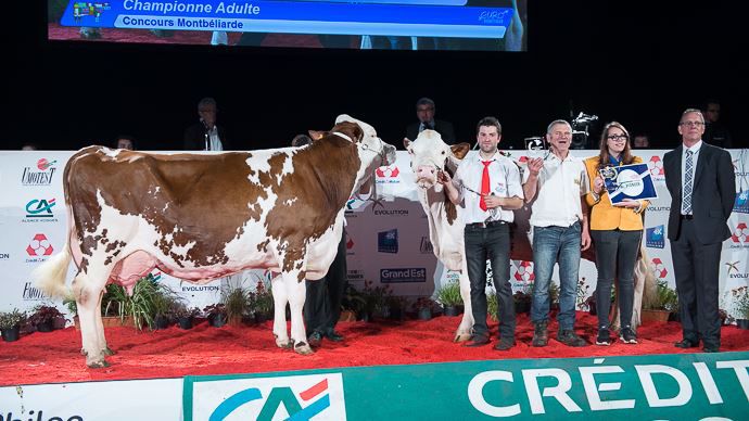 Les championnes adultes
