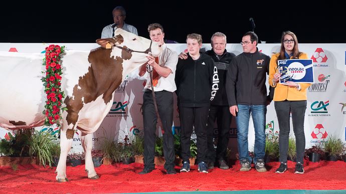 Championne jeune : HOULETTE (GAEC DU FEURET / 70 - BREVILLIERS)