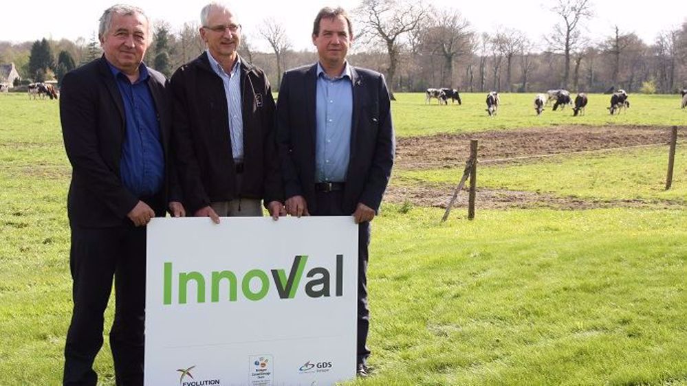 Jean-François Tréguer, président de GDS Bretagne, Jo, Jaouen, président du BCEL Ouest et Vincent Rétif, président d'Evolution, posent ensemble pour leur entité commune, Innoval, le 4 avril 2017. (©David Leguyader)