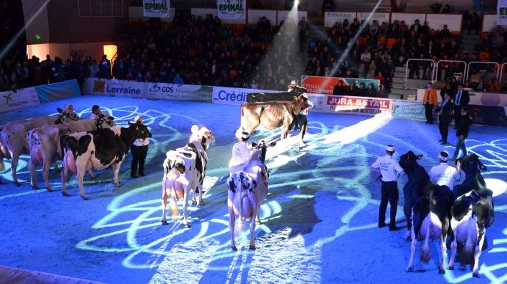 Plus que de simples concours, Eurogénétique a initié en France des véritables "shows" avec son et lumières.(©Terre-net Média)