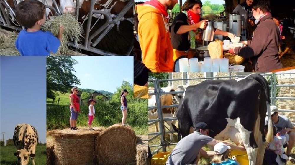 Fête du lait bio. (©FNAB) Fête du lait bio. (©FNAB)