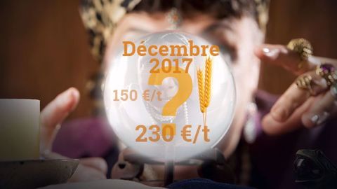 Comment vont évoluer les prix des grains dans les prochaines semaines et prochains mois ? Comment construire sa stratégie de commercialisation pour sa prochaine récolte ? (©Terre-net Média) Comment vont évoluer les prix des grains dans les prochaines semaines et prochains mois ? Comment construire sa stratégie de commercialisation pour sa prochaine récolte ? (©Terre-net Média)