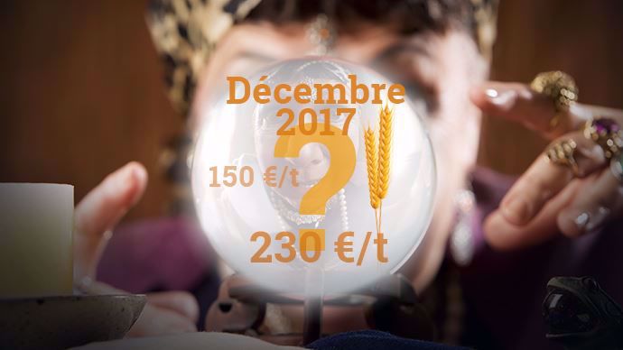 Comment vont évoluer les prix des grains dans les prochaines semaines et prochains mois? Comment construire sa stratégie de commercialisation pour sa prochaine récolte ?