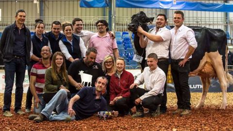 Yorickroxy, copropriété Gaec Toullec / Gaec Madec / Quim Serrabassa, Grande championne du régional de Bretagne 2017 (©Toma Dagorn / Paysan Breton) Yorickroxy, copropriété Gaec Toullec / Gaec Madec / Quim Serrabassa, Grande championne du régional de Bretagne 2017 (©Toma Dagorn / Paysan Breton)