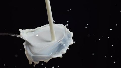 Le « lait de soja » n'est pas du lait ! Lait, fromage, crème, yoghourt, chantilly, etc. doivent être issus de produits d'origine animale selon la justice européenne. (©Pixabay) Le « lait de soja » n'est pas du lait ! Lait, fromage, crème, yoghourt, chantilly, etc. doivent être issus de produits d'origine animale selon la justice européenne. (©Pixabay)