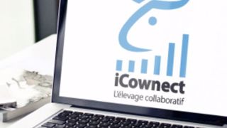 L'éleveur peut donner accès au logiciel à son conseiller afin de construire les préconisations. (©Vital Concept) L'éleveur peut donner accès au logiciel à son conseiller afin de construire les préconisations. (©Vital Concept)