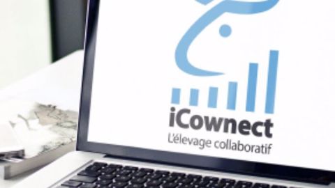 L'éleveur peut donner accès au logiciel à son conseiller afin de construire les préconisations. (©Vital Concept) 