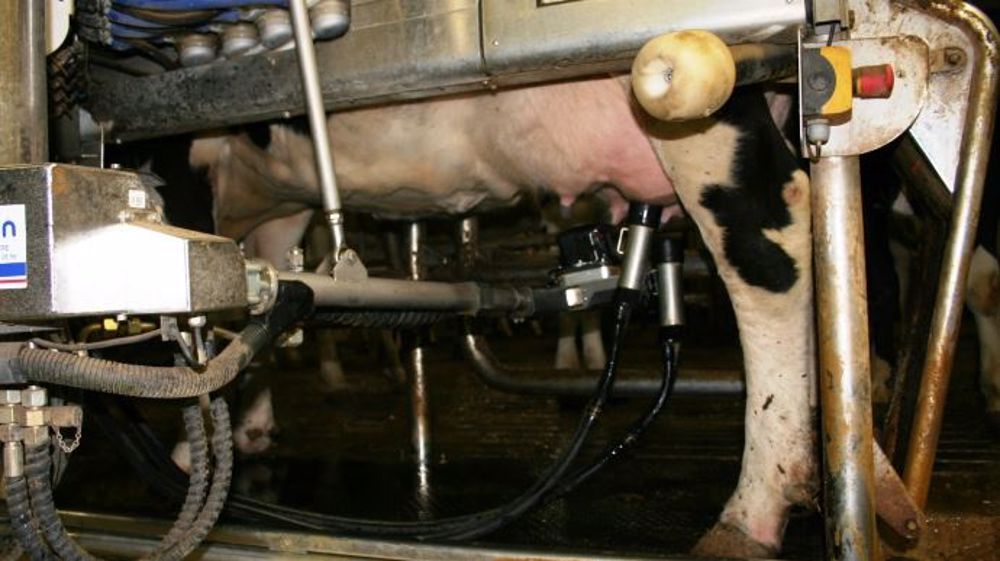 Même si les salles de traite dominent encore le marché, les éleveurs se tournent de plus en plus vers les robots. (©Terre-net Média)