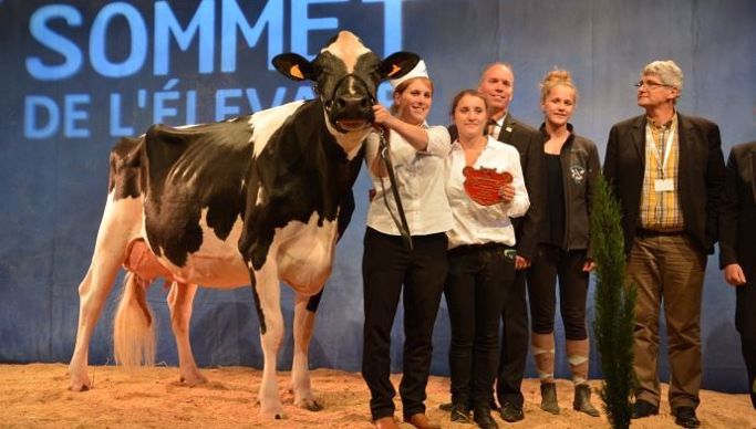 Qui succèdera à la grande championne Prim'holstein 2016 Hirma EFP (Danillo x Bolton, Gaec Parisse) ?