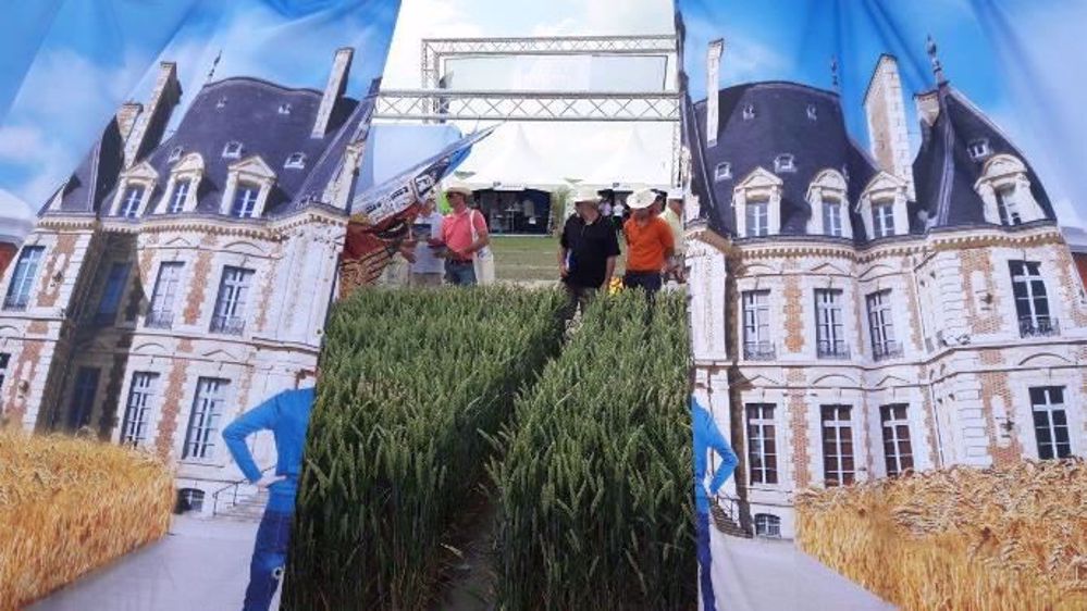 Animation autour de Chevignon sur les Culturales. (©Saaten-Union)