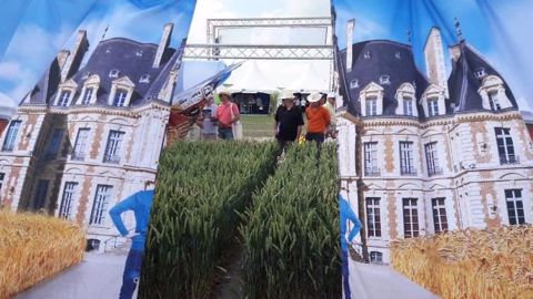 Animation autour de Chevignon sur les Culturales. (©Saaten-Union)