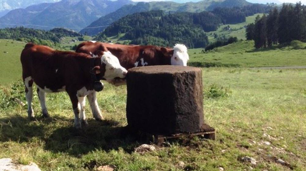 Maxilic gestation est, malgré son poids de 800 kg, facilement transportable en étant posé sur une palette (©Nutrilac) Maxilic gestation est, malgré son poids de 800 kg, facilement transportable en étant posé sur une palette (©Nutrilac)