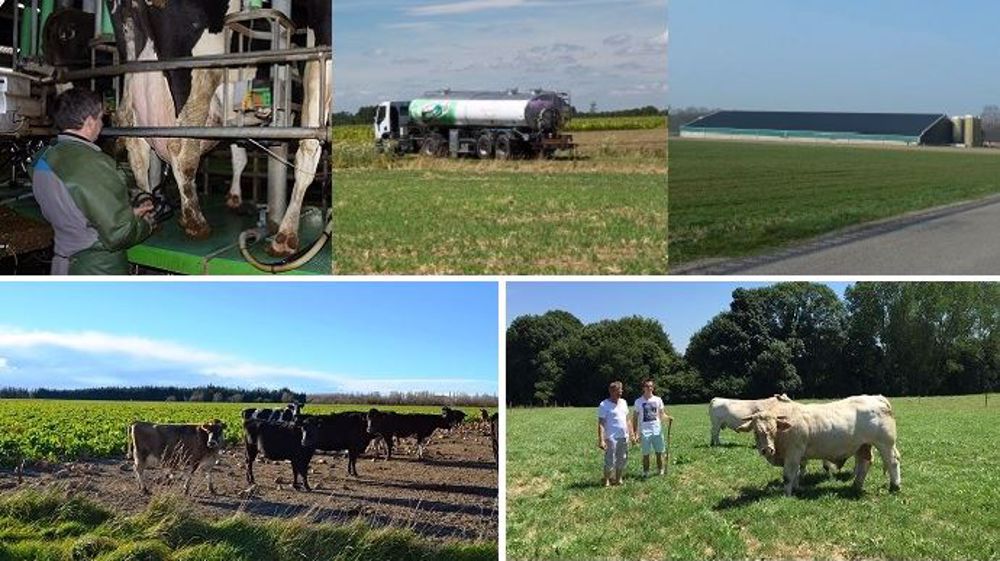 Les articles les plus lus sur Web-agri cette semaine. (©Terre-net Média) Les articles les plus lus sur Web-agri cette semaine. (©Terre-net Média)