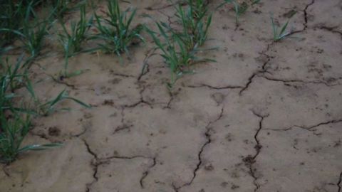 71 % des nappes phréatiques présentent un  niveau « modérément bas à très bas » au 1er août 2017. (©Terre-net Média)