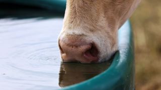 Un traitement de l'eau qui améliore la productivité sans rien ajouter Un traitement de l'eau qui améliore la productivité sans rien ajouter