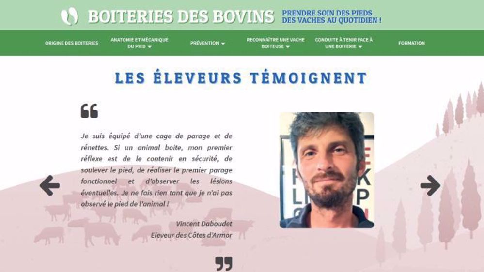 Le site boiteries-des-bovins.fr donne des pistes pour identifier, gérer et prévenir les boiteries en élevages laitiers. (©Cniel)