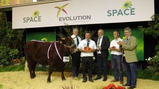 Luisante est la championne femelle en race Salers. (©Arsoe) Luisante est la championne femelle en race Salers. (©Arsoe)