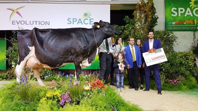 Fly Aglaee (Titanic HT x Miron) du Gaec Nogre