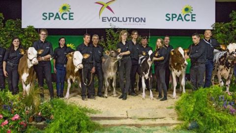 Les top prix de chaque race lors de la vente Génomic Elite du Space 2017 (©DR) Les top prix de chaque race lors de la vente Génomic Elite du Space 2017 (©DR)