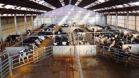 Il existe un grand nombre de solutions techniques afin de concevoir un bâtiment d'élevage innovant. Cependant, il est important d'être accompagné pour combiner les différentes technologies. (©Terre-net Média)