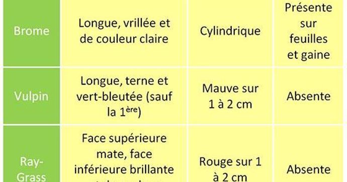 Tableau 1 : Synthèse des principales caractéristiques des espèces de brome, vulpin et ray-grass au stade plantule