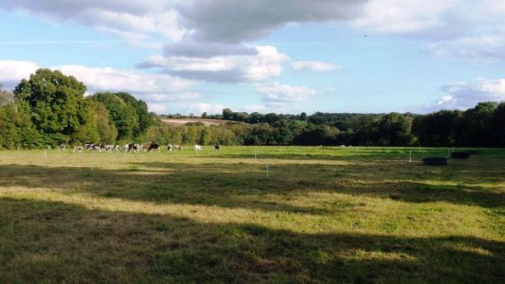 L'organisme de conseil Paturesens propose aux éleveurs des formations pour maîtriser un système pâturant et ainsi gagner en rentabilité et autonomie. (©Paturesens)