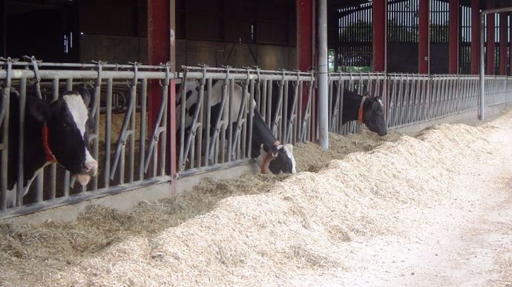 Le logiciel de rationnement Neopro de Neolait permet aux techniciens d'accompagner les éleveurs grâce à un audit, une base de données favorisant le rationnement dynamique et une formulation nutritionnelle. (©Terre-net Média)