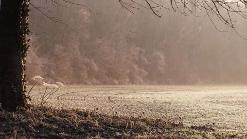L'hiver va-t-il arriver plus tôt que prévu cette année ? (©Terre-net Média)