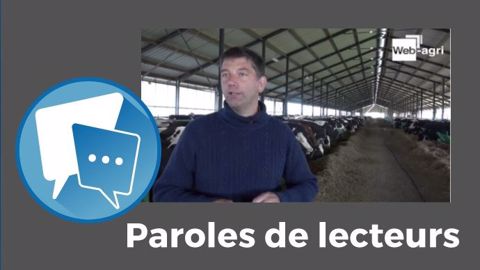 « Ces vaches me font penser à la téléréalité, vous savez ces émissions où les gens sont enfermés », déclare Vik.(©Terre-net Média) « Ces vaches me font penser à la téléréalité, vous savez ces émissions où les gens sont enfermés », déclare Vik.(©Terre-net Média)