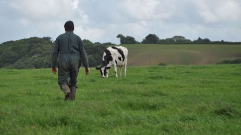 Michel Chauveau a écrit au ministre de l'agriculture pour défendre les aides au maintien en agriculture biologique. (©Terre-net Média)