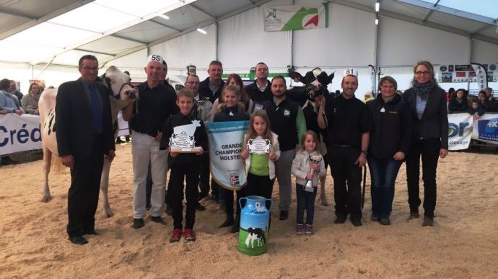 La grande championne du concours départemental Habsheim est Jelena du Neuhof (G. Dreams) (©Chambre d'agriculture d'Alsace) La grande championne du concours départemental Habsheim est Jelena du Neuhof (G. Dreams) (©Chambre d'agriculture d'Alsace)