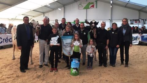 La grande championne du concours départemental Habsheim est Jelena du Neuhof (G. Dreams) (©Chambre d'agriculture d'Alsace)