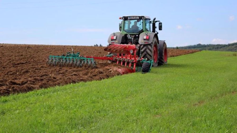 En Normandie et dans les Hauts de France, les ratios de maintien des prairies permanentes par rapport à la référence historique de 2012 se sont dégradés au-delà de 2,5 %, limite imposée par la réglementation européenne. sur le verdissement de la Pac. (©Watier visuels)