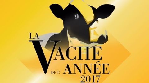 Corrida (Roumare x Manager MT) du Gaec du Bois Jean (61) remporte le titre de vache de l'année 2017. (©Prim'holstein France)