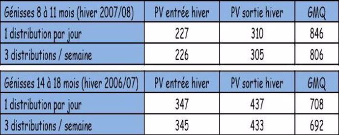 Les 3 distributions/semaine donnent des mêmes résultats de poids et GMQ chez les génisses qu'en affouragement quotidien