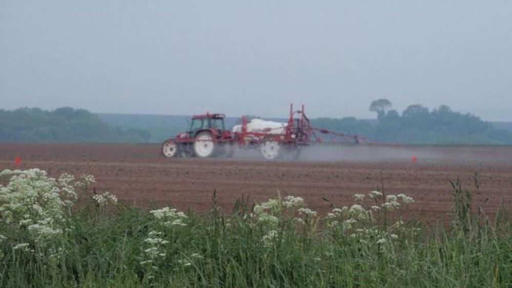 Selon l'Inra, il n'y a pas d'alternative efficace pour l'agriculture de conservation des sols. (©Terre-net Média)