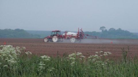 Selon l'Inra, il n'y a pas d'alternative efficace pour l'agriculture de conservation des sols. (©Terre-net Média) Selon l'Inra, il n'y a pas d'alternative efficace pour l'agriculture de conservation des sols. (©Terre-net Média)