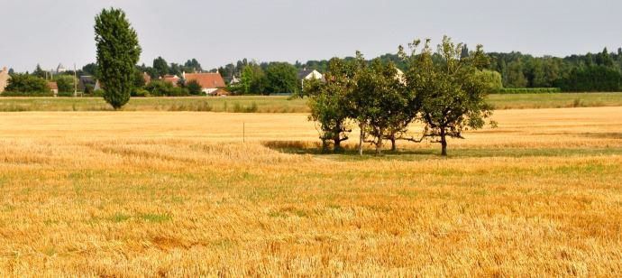 Zone agricole protégée de Chécy