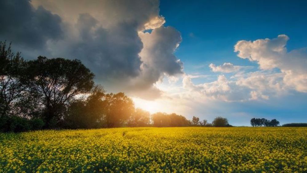 Le phénomène La Nina provoque des conditions humides en Australie et en Asie du sud-est et de la sécheresse en Argentine. (©Créaturart/Fotolia)