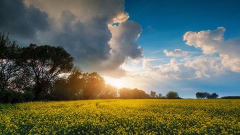 Le phénomène La Nina provoque des conditions humides en Australie et en Asie du sud-est et de la sécheresse en Argentine. (©Créaturart/Fotolia)