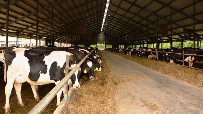 En participant à l'Alltech Euro Tour, les éleveurs ont découvert des fermes laitières allemandes allant jusqu'à 3600 vaches