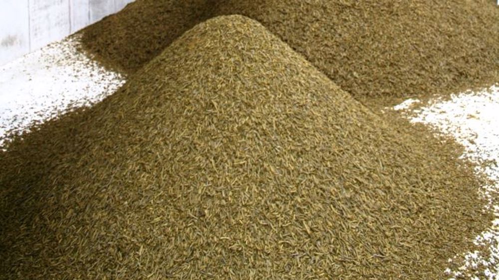 L'indépendance protéique des élevages français est en danger à cause du projet de révision de la directive biocarburant qui pourrait réduire la part de colza implanté dans l'Hexagone et donc soumettre les éleveurs au marché du soja. (©Terre-net Média)