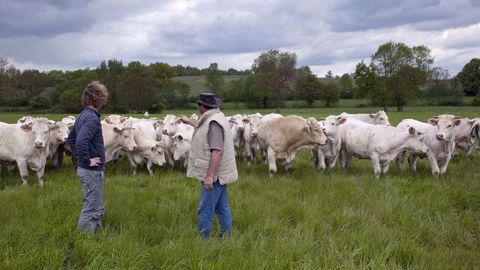 <strong> </strong>Les installations de nouveaux agriculteurs ont reculé en 2016 de 6,2 % par rapport à 2015. (©Watier Visuels) <strong> </strong>Les installations de nouveaux agriculteurs ont reculé en 2016 de 6,2 % par rapport à 2015. (©Watier Visuels)