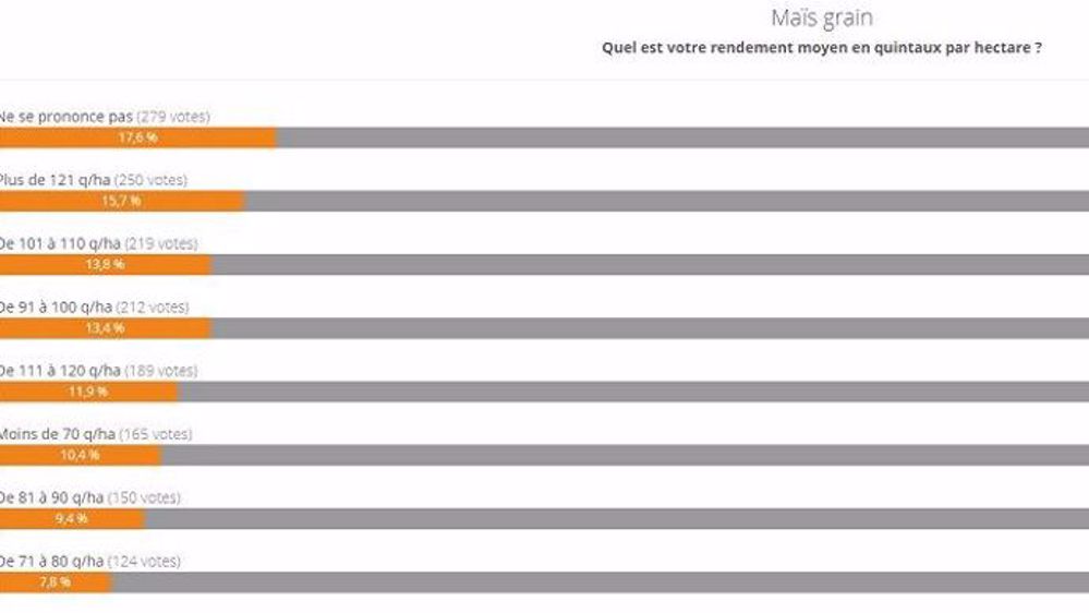 Sondage mais grain (©Terre-net Média)