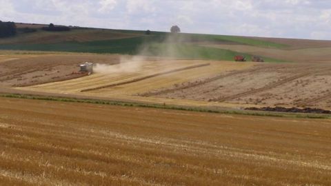 La France doit faire face cette année à la compétitivité des blés russes et argentins. (©Terre-net Média) La France doit faire face cette année à la compétitivité des blés russes et argentins. (©Terre-net Média)