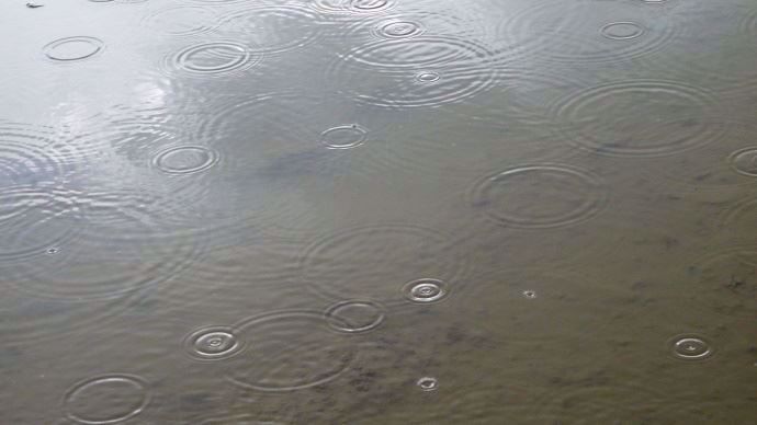 Pluie