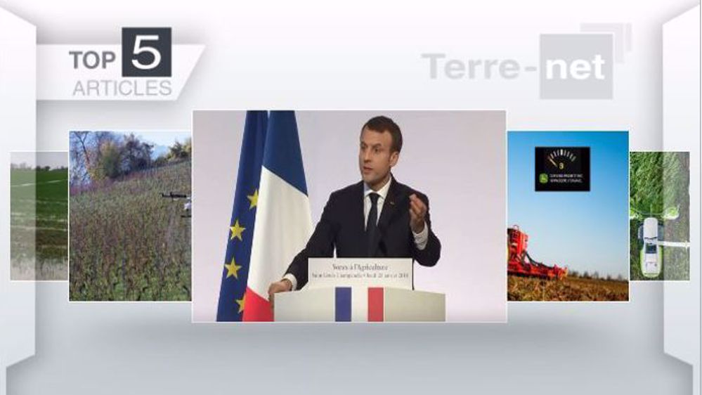 Articles les plus lus de la semaine sur Terre-net. (©Terre-net Média)